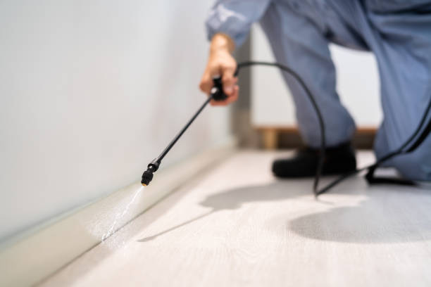 Certified termite inspector examining foundation in Brookston